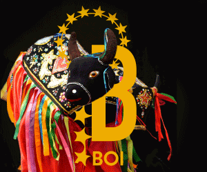 Boi Bumbá Festivity ­ an explosion of colors
